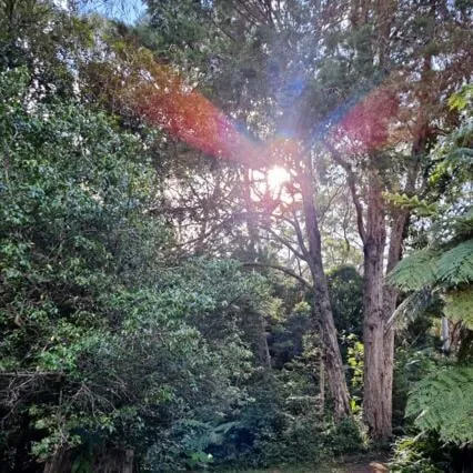 Light - Illuminating Your Vision