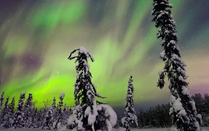 Light Instrumental Music | Easy Relaxing Study Music