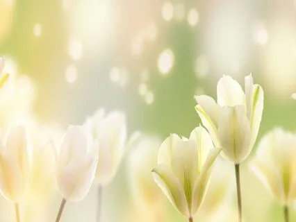 Light Language - Calling You Back To Your Home Frequency