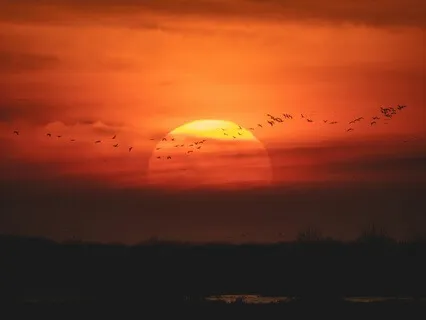 Light Language Clearing And Activation For The Sacral Chakra