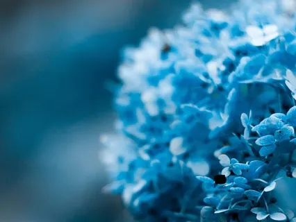 Light Language Clearing And Activation For The Throat Chakra