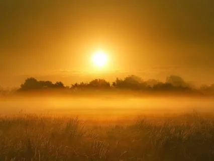 Light Language Flow - Upon Awakening 5 Minute Reset