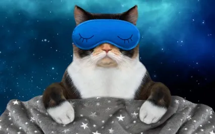 Light Language For Sleep | Lemurian Relaxation Immersion