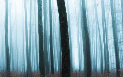 Light Language Frequencies Of Simplicity 