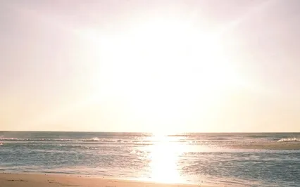 Light Language Frequency Of Confidence