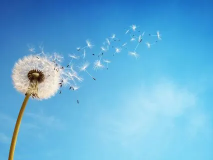 Light Language Healing - Letting Go - Deep Soul Journey