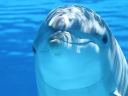 Light Language Lemurian Activation (Chant & Spoken Codes)