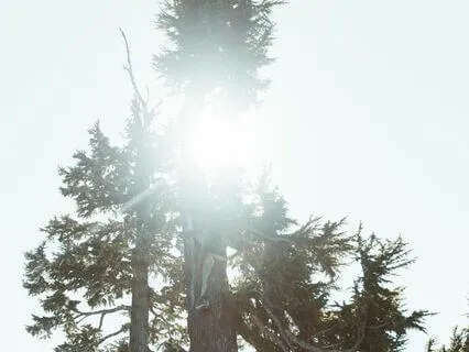 Light Language Protection Meditation