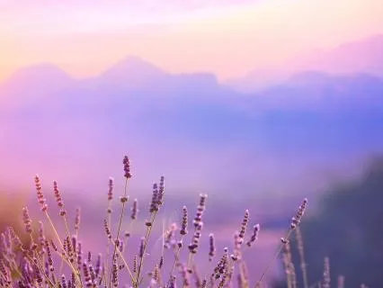 Light Language Singing - Awaken The Giant Within