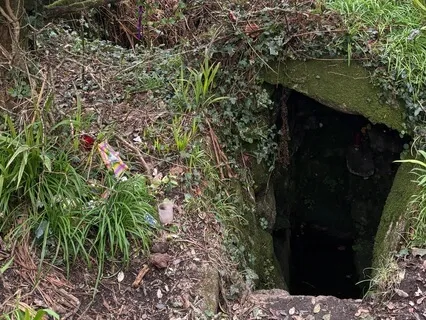 Light Language Singing- Daily Grounding Transmission