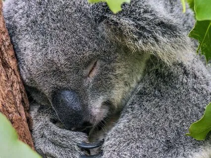 Light Language Sleep Aid - Depression & Low Mood - Short