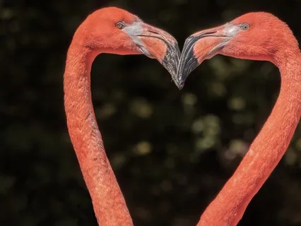 Light Language: Heart Chakra Healing Meditation