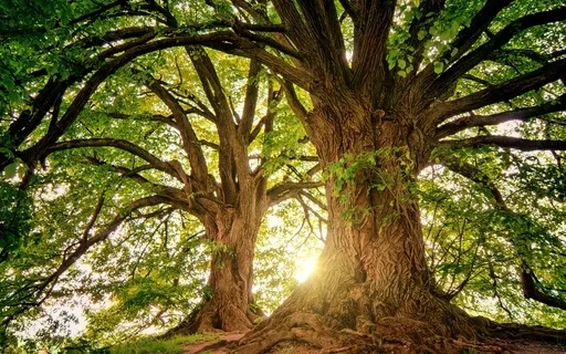 Light Language - Strengthen Connection To Higher Self