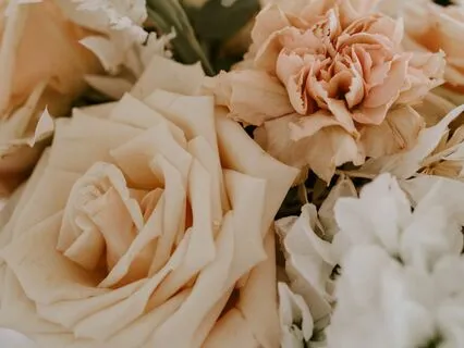 Light Language To Clear Karmic Charges With Your Soulmate