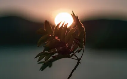 Light Language To Feel Clarity