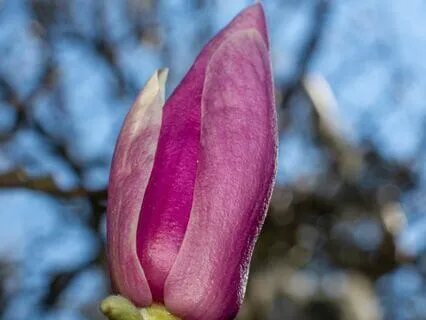 Light Language Transmission - Reclaiming Self