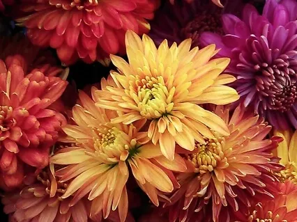 Light Language Transmission September 2022