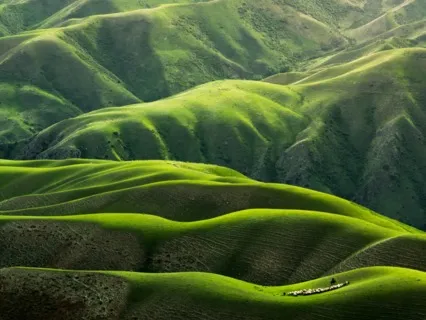 Light Language With The Intention Of Clarity