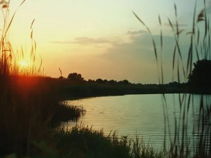 Light Lofi Piano — Soft, Cheerful Melodies for a Bright Mood