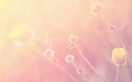 Light. Love. Joy. (I Am)