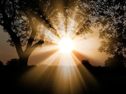 Light Meditation For All Ages