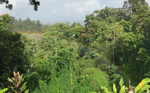 Light Music For Transmuting Fear Of Speaking Your Truth