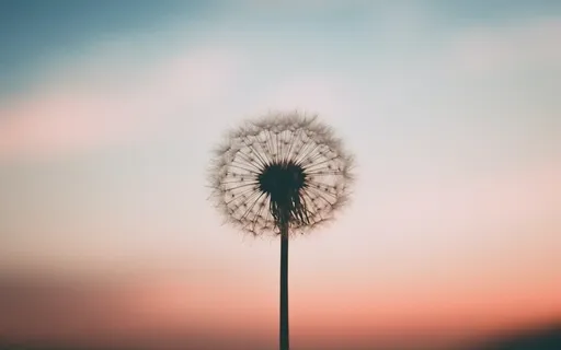 Light Of Healing & Love