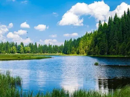 Light On Still Waters