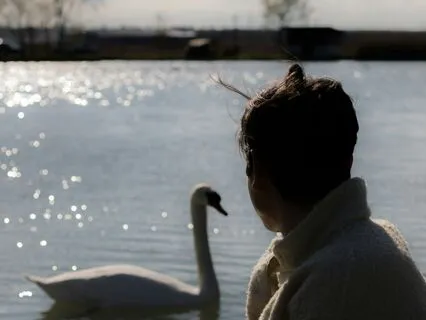 Light Over The Lake: A Journey To Release Worries