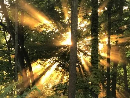 Light Protocol 01... For Dispelling Fear