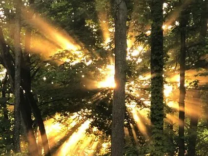 Light Protocol 03: For Breathing