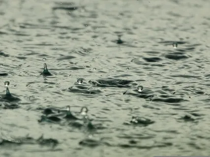 Light Rain Sleep Soundscape 2 Hours