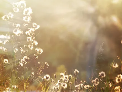 Light Song With Drum - Chant Lumière Au Tambour III