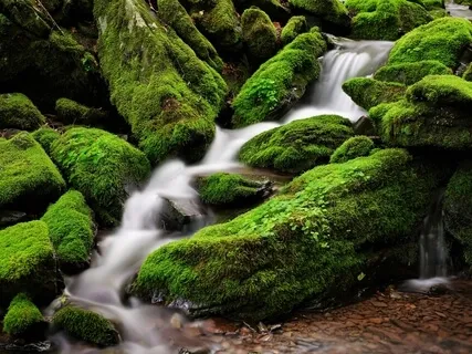 Light Stories - Overcoming Your Lonely Self