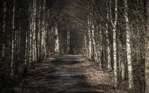 Light Stream Relaxation