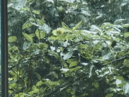 Light Through The Rain - Soft And Relaxing Music