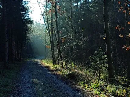 Light, To Illuminate Your Spaces Of Love