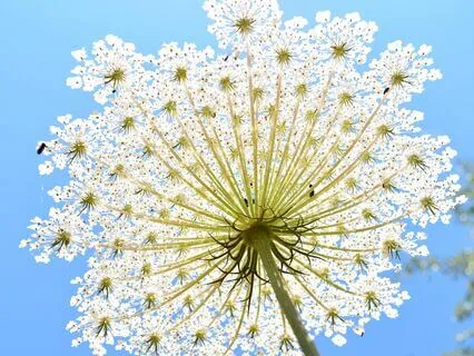 Light Up Your Morning