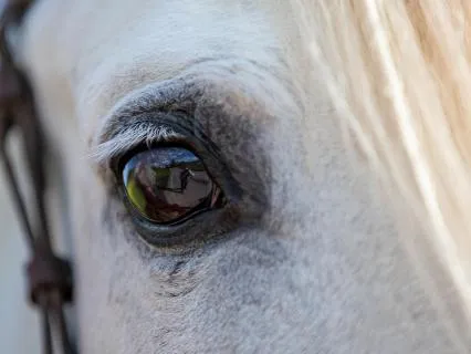 Light White Noise for All-Night Sleep ||| 10 Hours