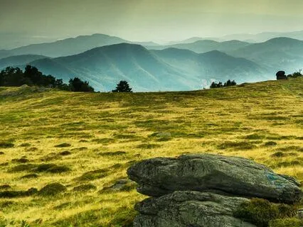 Light Worker's Anthem For Success And Positivity