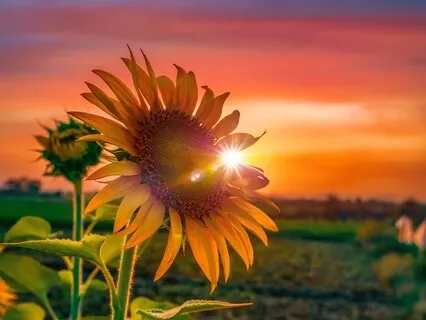 Lighten Up - Energy Clearing Meditation