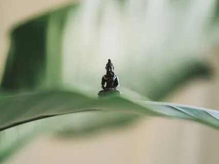 Lightly Guided Mindfulness Of The Breath (Anapanasati)