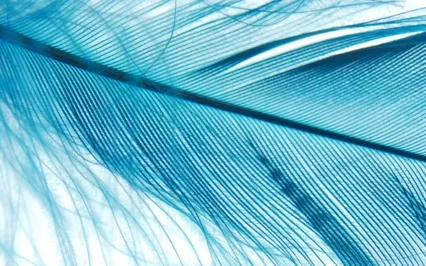 Lightness & Ease: A Crystal Singing Bowl Sound Bath