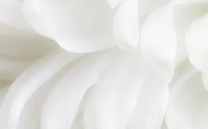 Lightness • Rain Sound & Piano To Relax, Meditate Or Sleep