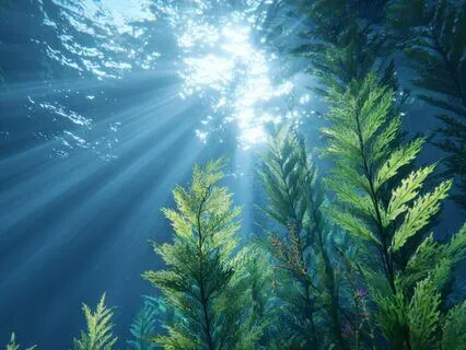 Lightstream Visualization Adapted From EMDR And IFS