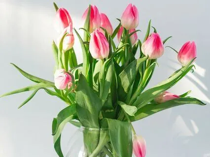 Lightworkers: Release, Heal & Arise