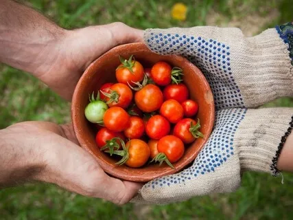 Exploring Transference: Like Water For Chocolate