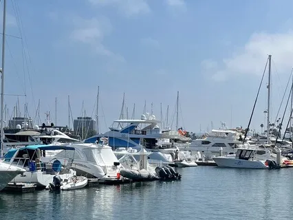 Lilac Bubble Meditation