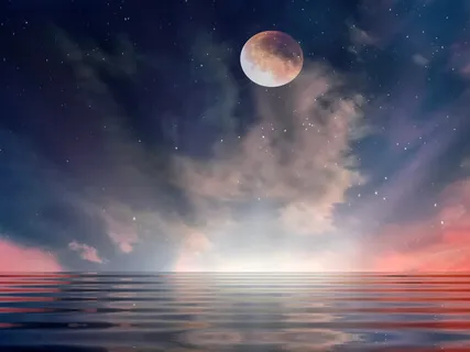 Lilac Dreams - Li Xiangting