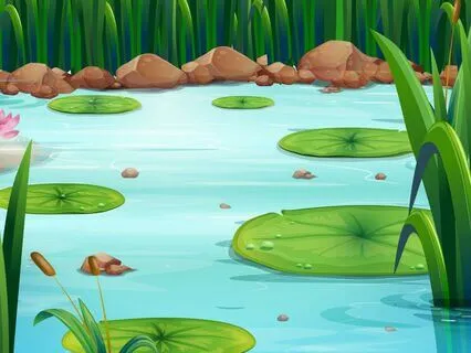 Lily Pad Butterfly Dreams | Children's Sleep Story